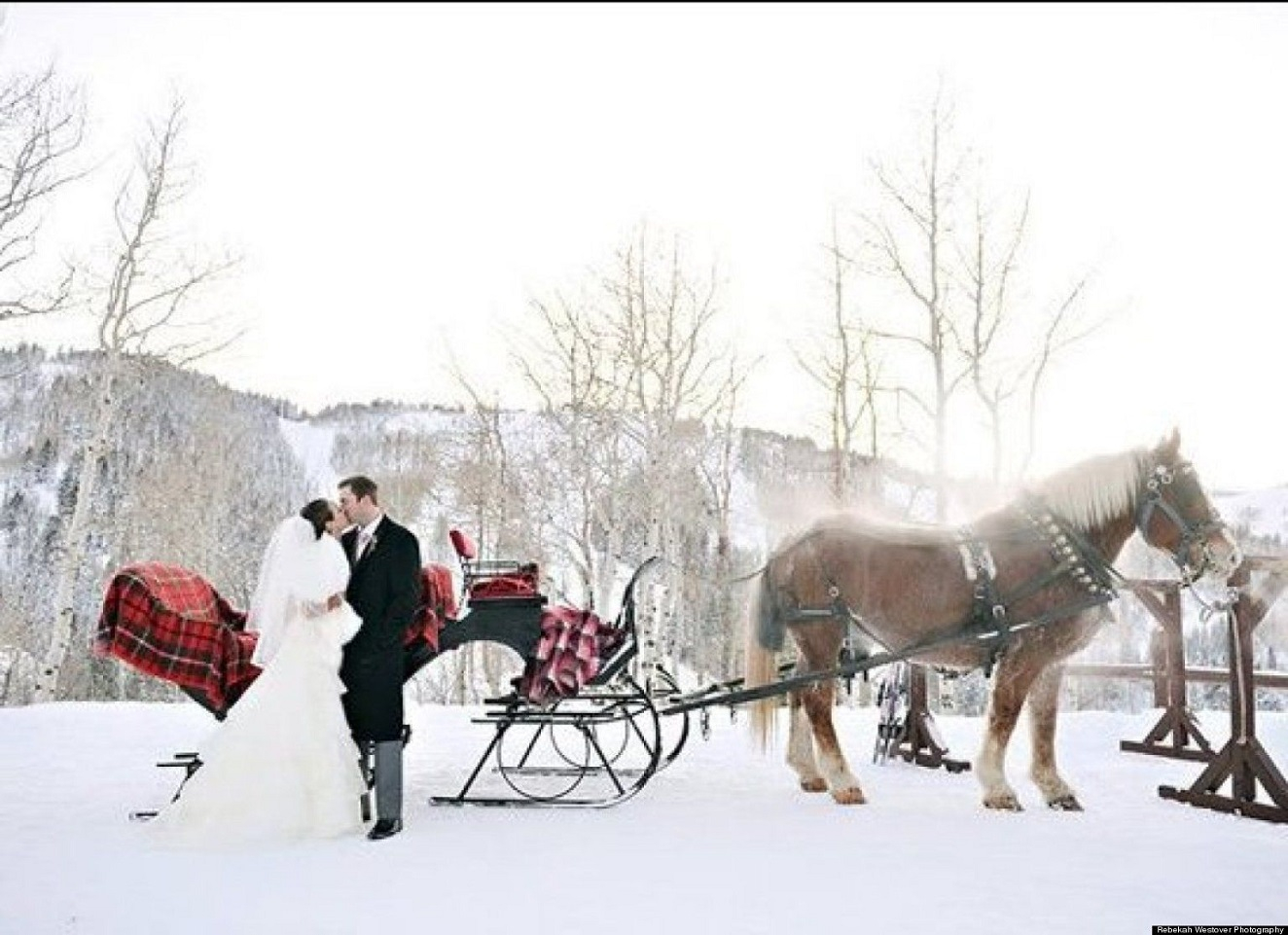 9carrozza 9carrozza