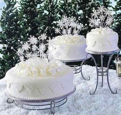 Sposarsi sulla neve Sposarsi sulla neve